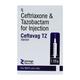 CEFTAVAG TZ Injection 1's - Bacterial Infections-Cep