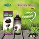 Swadeshi Aloevera Jamun Ras 500 ml - Health Products