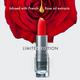 Lakme Cushion Matte Lip Brown Chili 4.5 gm - Lipsticks