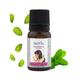 Skivia Peppermint Essential Oil 10 ml - Essential Oils