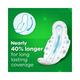 Whisper Combo of Ultra Clean and Bindazz Nights XL+ for Women Sanitary Pad 144's - Sanitary Napkins