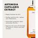 ONE THING Artemisia capillaris Extract 150 ml - Toners