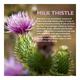 Onelife Liv Dtox (Supports Liver Health) Tablet 60's - Vital Health