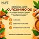 INLIFE Curcumin 95 Advanced 500 mg Vegetarian Capsule 60's - Herbal Dietary Supplement