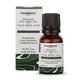 Greenberry Organics Organic Tea Tree Oil 15 ml - Hair Oils