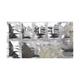 TACROREN 2 Capsule 10's - Auto Immune Disease-Imm