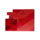 Dorall Collection Noble Rouge Eau De Toilette 100 ml - Women Perfumes (Edt/Edp)