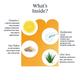 Arata Vitamin C Triple Action Morning Combo With Purifying Face Wash (150 ML), Vitamin C Oatmeal Scrub (75 ML) & Vitamin C Day Cream (50 ML) 275 ml - Face Washes