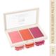 Insight Professional Face Glow Blusher Palette 15 gm - Blushes