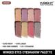 Insight Cosmetics Winged Eyes Eyeshadow Palette - Dreamy 19 gm - Eye Shadow Palettes