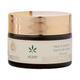 SoulTree Hemp Treat & Nourish Youth Day Cream 50 gm - Day Cream