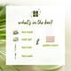 Plum Green Tea Glow Pack Gift Set 255 gm - Facial Kits