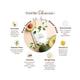 PureSense Anti Ageing Sheet Mask with Avocado and Kakadu Plum For Nourished and Radiant Skin 15 ml - Sheet Masks