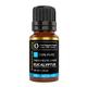 Organic Forest 100% VEGAN Eucalyptus Essential Oil 10 ml - Essential Oils