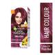 Garnier Color Naturals Ultra Color Creme Riche Hair Color, Plum Red 6.26 with 3 Oils + Fruit Serum 55ml+50gm 1's - Crème