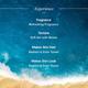 Aqualogica Radiance + Squishy Shower Gel With Watermelon & Niacinamide 250 ml - Shower Gels & Body Wash