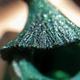 Bella Voste Sand Holo Nail Paints Forest Green - 411 10 ml - Nail Polish