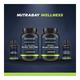 Nutrabay Wellness Vegan Plant Protein + Superfoods - Rich Chocolate 500 gm - Whey Proteins