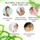 Callesta 100 Percent Pure Aloe Vera Gel 100 gm - Face Moisturizers