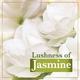 Lux Velvet Glow Jasmine & Vitamin E For Glowing Skin Beauty Soap Mega Pack (Pack of 3) 450 gm - Soaps