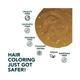 Paradyes Honey Blonde Highlighting Kit 95gm - Crème