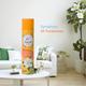 Alainne Air Mist Blooming Jasmine Air Freshener 278 ml - Hand Sanitizer