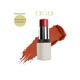asa Lip & Cheek Tint - Luscious Apricot 05 4.5 gm - Lipsticks