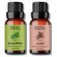 Essentia Extracts Combo of Eucalyptus and Clove Essential Oil 2's - Essential Oils