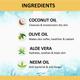 Cocomo Natural Kids Face and Body Wash Minty Fragrance Soft and Healthy Skin Minty Sea 200 ml - Baby Body Wash