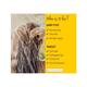 L'Occitane En Provence Fraicheur Purifying Freshness Shampoo 500ml - Shampoos