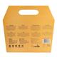 Fashion Colour Gold Radiance Facial Kit 100 gm - Facial Kits