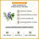 Keya Seth Aromatherapy Energizing and Lavender-Rose Body Massage Oil for Men and Women 200 ml - Massage Oils