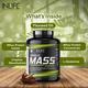 INLIFE Muscle Mass Gainer with Whey Protein Powder Chocolate Flavor 3 kg - Weight Gain