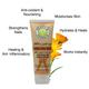 Inatur Herbals Hand & Nail Cream 100 gm - Hand Creams