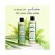 Love Beauty And Planet Tea Tree, Peppermint & Vetiver Paraben Free Purifying Conditioner 200 ml - Conditioners