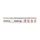 CIDADIN 3X Ointment 25g - Skin Infections-Ski