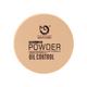 Matt Look Perfect Look Powder 2 in 1 Formula Oil Control, Powder + Base Concealer, Ivory 20 gm - Compact Powder