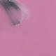 Colorbar Taffy Pink - (009) 12 ml - Nail Polish