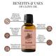 Essentia Extracts Combo of Eucalyptus and Clove Essential Oil 2's - Essential Oils