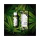 Diego dalla Palma Milano Cannabis Sativa Seed Oil - Face And Body 100 ml - Creams/Oils/Lotions
