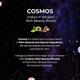Cosmos by Bewakoof Magic Vitamin Face Sheet With Rose Vitamin E & Bamboo Sheet 25 gm - Sheet Masks