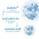 Simple Water Boost Hydratinggel Creme 50 gm - Face Moisturizers