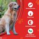 Nestle Purina Supercoat Adult With Chicken Dog Food 2.5 kg - Petfood