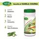 Swadeshi Karela Churna Powder 100 gm - Diabetes Care (Ayush)