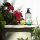 Petal Fresh Energizing Rosemary and Mint Bath and Shower Gel 475 ml - Shower Gels & Body Wash