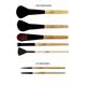 Allure makeup brush set with bag (Pack of 19) 1's - Face Brush