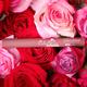 Daily Life Forever52 Velvet Rose Matte Lipstick Rs008 Rs008 2.5 gm - Lipsticks