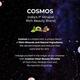 Cosmos by Bewakoof Gemstone Bath Bar with Clernelian Gojiberry-Anti Aging & Moisturising 125 gm - Soaps