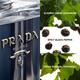 Prada L'Homme Edt Vap 100 ml - Men Perfumes (Edt/Edp)