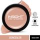 Insight Cosmetics Concealer - Rose Ivory 3.5 gm - Concealer